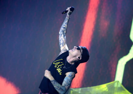 Miniatura della galleria